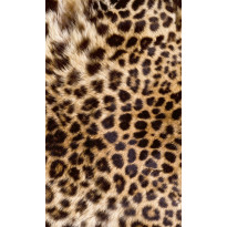 Kuvatapetti Dimex Leopard Skin, 150x250cm, oranssi