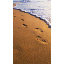 Kuvatapetti Dimex Footsteps, 150x250cm, oranssi, sileäpintainen