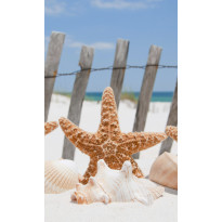 Kuvatapetti Dimex Starfish, 150x250cm, monivärinen