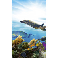 Kuvatapetti Dimex Fish, 150x250cm, sininen, eläinkuosi