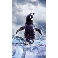 Kuvatapetti Dimex Penguin, 150x250cm, sininen, eläinkuosi