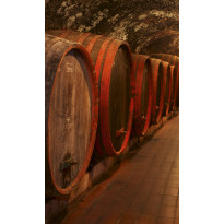 Kuvatapetti Dimex Wine Barrels, 150x250cm, ruskea, tynnyrit