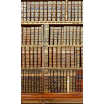 Kuvatapetti Dimex Library, 150x250cm