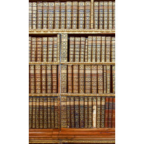Kuvatapetti Dimex Library, 150x250cm, ruskea, sileäpintainen