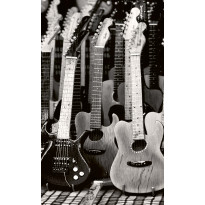 Kuvatapetti Dimex Guitars Collection, 150x250cm, mustavalkoinen
