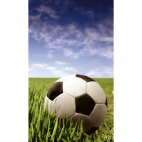 Kuvatapetti Dimex Soccer Ball, 150x250cm, monivärinen
