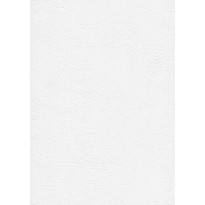 Tasoitetapetti Patent Decor Express 2212, 0,75x 25m