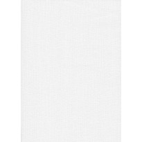 Tasoitetapetti Patent Decor Express 2213, 0,75x 25m