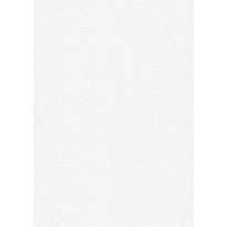 Tasoitetapetti Patent Decor Express 2215, 0,75x 25m