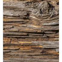 Kuvatapetti Dimex Tree Bark, 225x250cm, ruskea, puukuosi