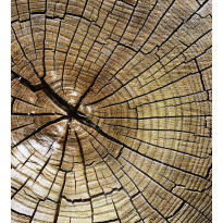 Kuvatapetti Dimex Wood, 225x250cm, ruskea, puukuosi