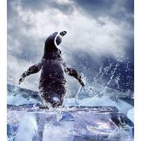 Kuvatapetti Dimex Penguin, 225x250cm, sininen, eläinkuosi