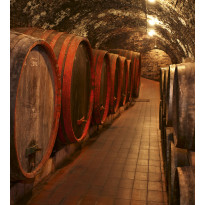 Kuvatapetti Dimex Wine Barrels, 225x250cm, ruskea, tynnyrit