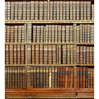 Kuvatapetti Dimex Library, 225x250cm, ruskea, kirjahyllykuosi