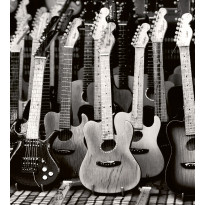 Kuvatapetti Dimex Guitars Collection, 225x250cm, mustavalkoinen