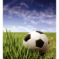 Kuvatapetti Dimex Soccer Ball, 225x250cm, monivärinen