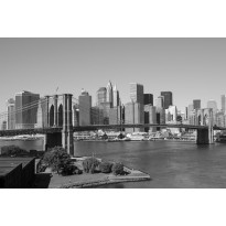 Maisematapetti Dimex Manhattan Gray, 375x250cm