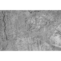 Kuvatapetti Dimex Concrete Floor, 375x250cm, harmaa