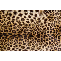 Kuvatapetti Dimex Leopard Skin, 375x250cm