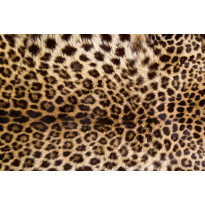 Kuvatapetti Dimex Leopard Skin, 375x250cm, oranssi