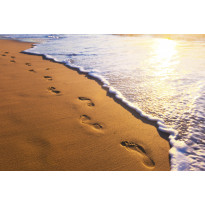Kuvatapetti Dimex Footsteps, 375x250cm, oranssi, sileäpintainen