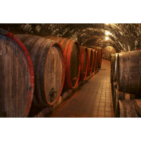 Kuvatapetti Dimex Wine Barrels, 375x250cm, ruskea, tynnyrit