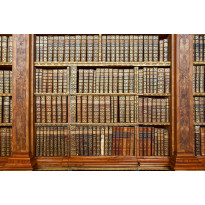 Kuvatapetti Dimex Library, 375x250cm, ruskea, sileäpintainen