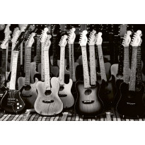 Kuvatapetti Dimex Guitars Collection, 375x250cm, mustavalkoinen