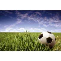 Kuvatapetti Dimex Soccer Ball, 375x250cm, monivärinen