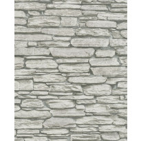 Tapetti Imagine 81901, 0,53x10,05m