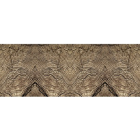 Valokuvatapetti Quattro Tree Rings 8-osainen 372x280cm