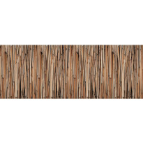 Valokuvatapetti Quattro Bamboo 8-osainen 372x280cm
