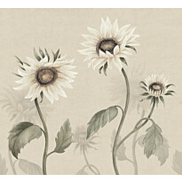 Kuvatapetti Sandberg Sunflowers valkoinen, mittatilaus, non-woven