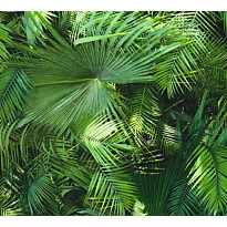 Tapetti A.S. Creations Nature Elements B2, 36200-1, vihreä