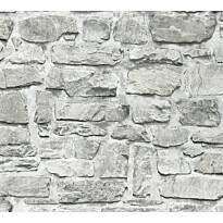 Tapetti A.S. Creation Best of Wood&#039;n Stone II C 363701, harmaa