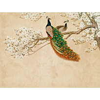 Kuvatapetti A.S. Creation THE WALL 38236-1, 371x280cm, beige