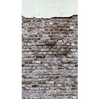 Kuvatapetti A.S. Creation THE WALL 38333-1, 159x280cm, ruskea