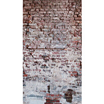 Kuvatapetti A.S. Creation THE WALL 38335-1, 159x280cm, ruskea