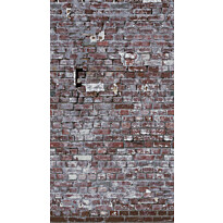 Kuvatapetti A.S. Creation THE WALL 38337-1, 159x280cm, ruskea