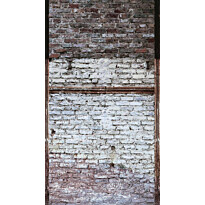 Kuvatapetti A.S. Creation THE WALL 38350-1, 159x280cm, ruskea