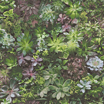 Tapetti Galerie Evergreen 7320-7322