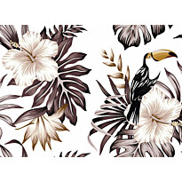 Kuvatapetti A.S. Creation Designwalls Toucan, 350x255cm