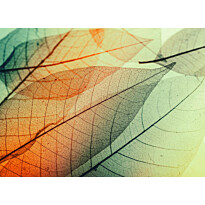 Kuvatapetti A.S. Creation Designwalls Limpid Leaf, 350x255cm