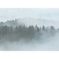 Kuvatapetti A.S. Creation Designwalls Misty Forest, 350x255cm, harmaa