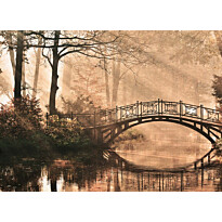 Kuvatapetti A.S. Creation Designwalls Park Bridge, 350x255cm