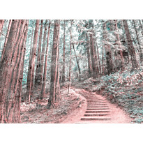 Kuvatapetti A.S. Creation Designwalls Forest Walk, 350x255cm