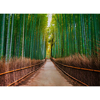 Kuvatapetti A.S. Creation Designwalls Bamboo Walk, 350x255cm, vihreä