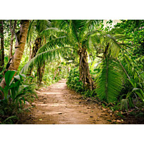 Kuvatapetti A.S. Creation Designwalls Palm Walk, 350x255cm, vihreä
