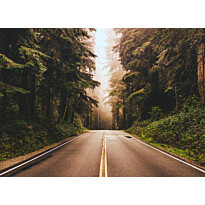 Kuvatapetti A.S. Creation Designwalls Road Trip, 350x255cm, ruskea