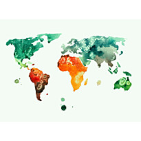 Kuvatapetti A.S. Creation Designwalls Colourful World, 350x255cm
